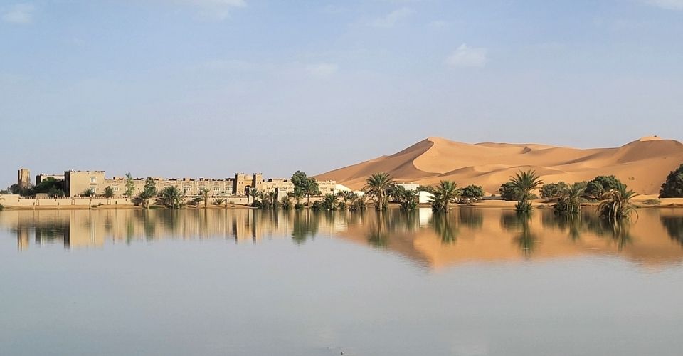 Parts of the Sahara Desert Are Turning Green Due to Heavy Rainfall